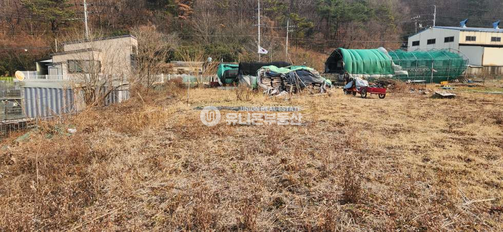 이미지사진